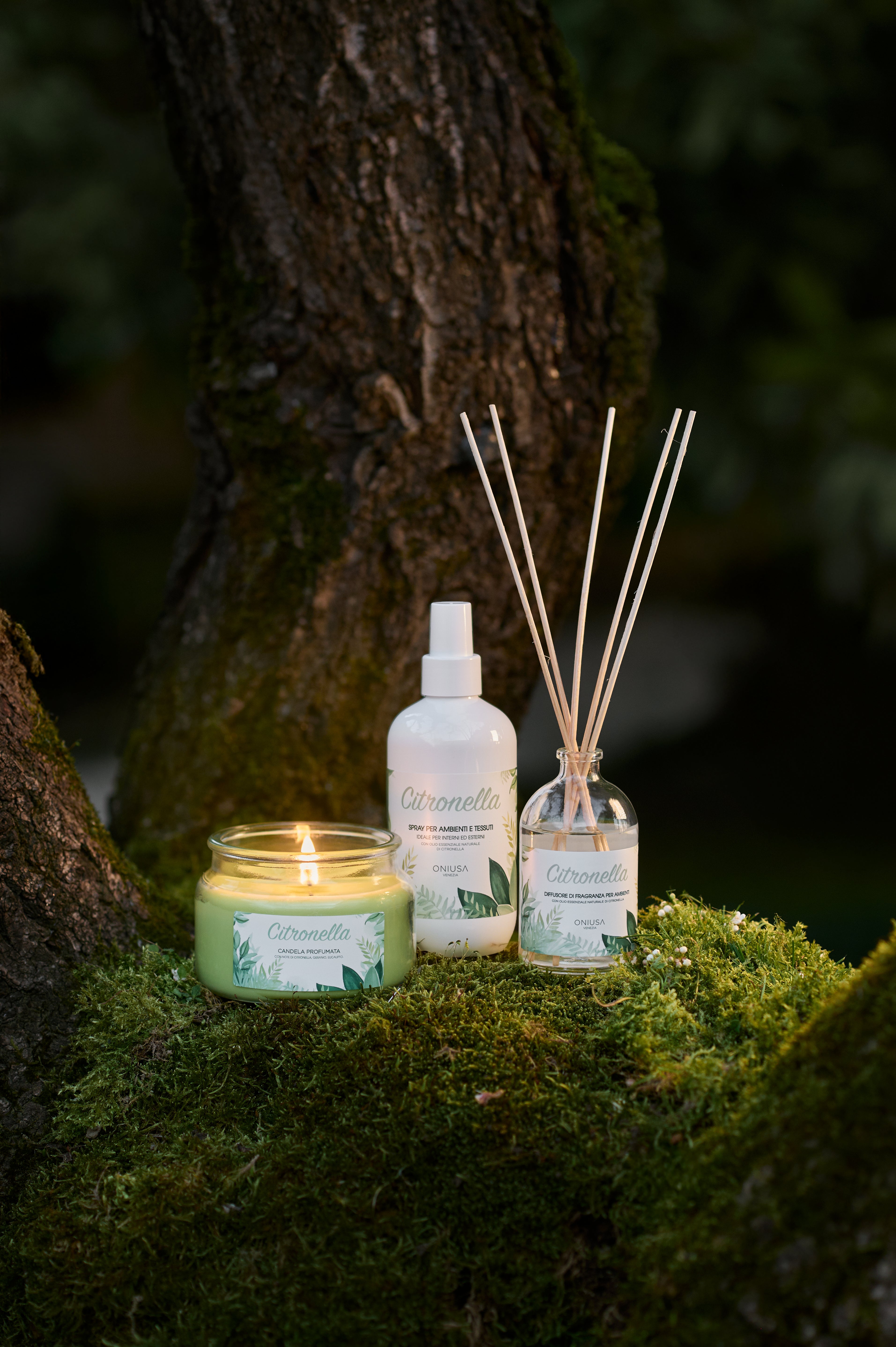 Summer Box Citronella