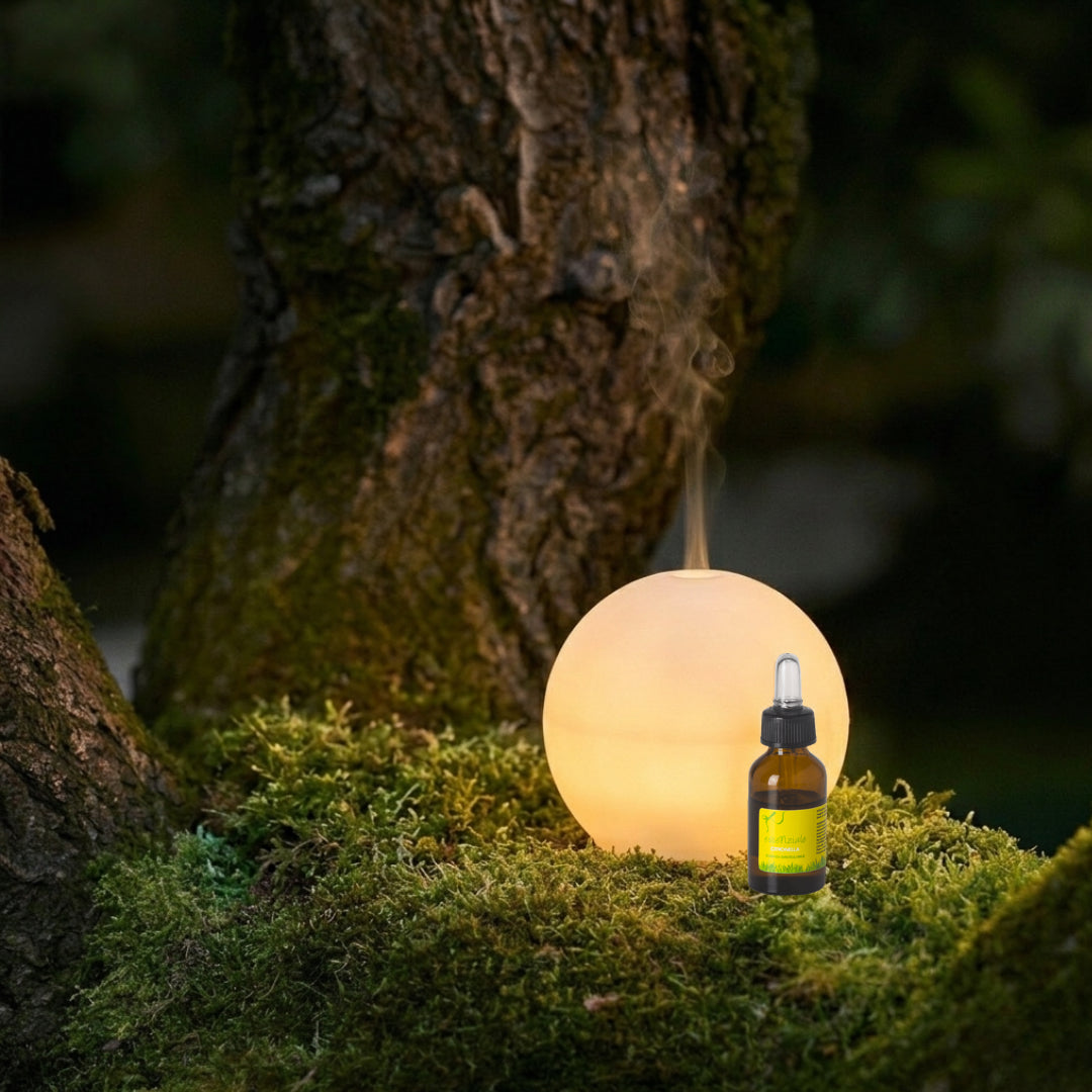 Wasserlösliche Essenz Zitronengras