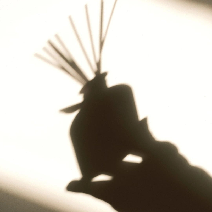 Guida pratica all'uso dei profumatori per ambiente con bastoncini