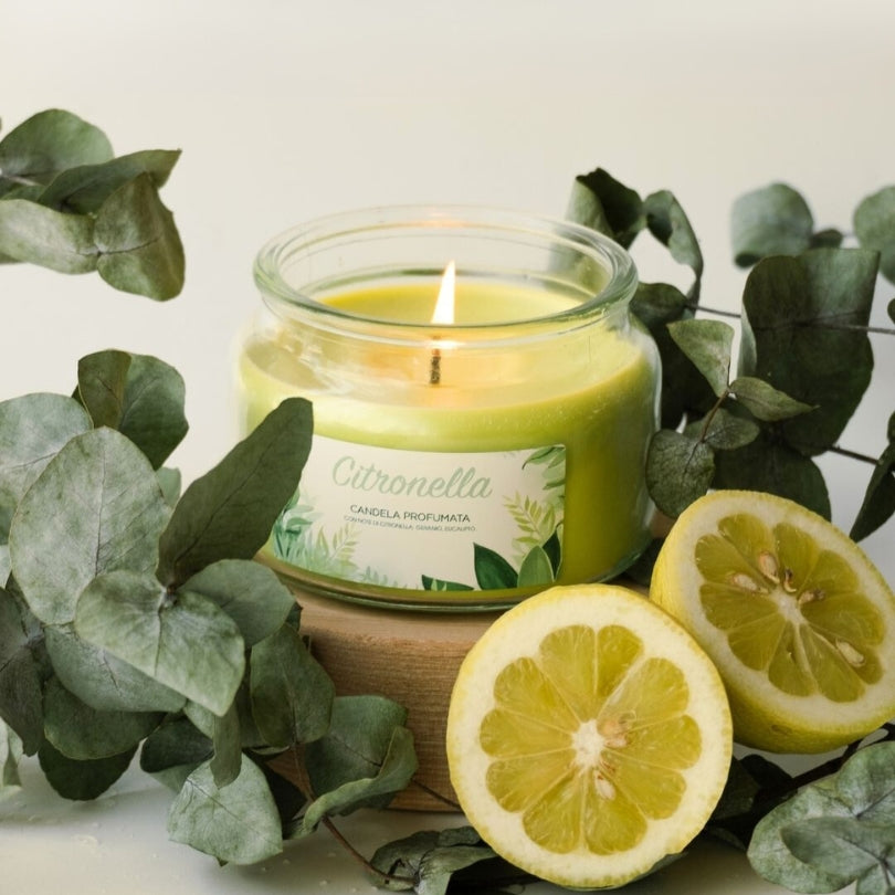 L'origine della citronella: storia e tradizione di un rimedio naturale