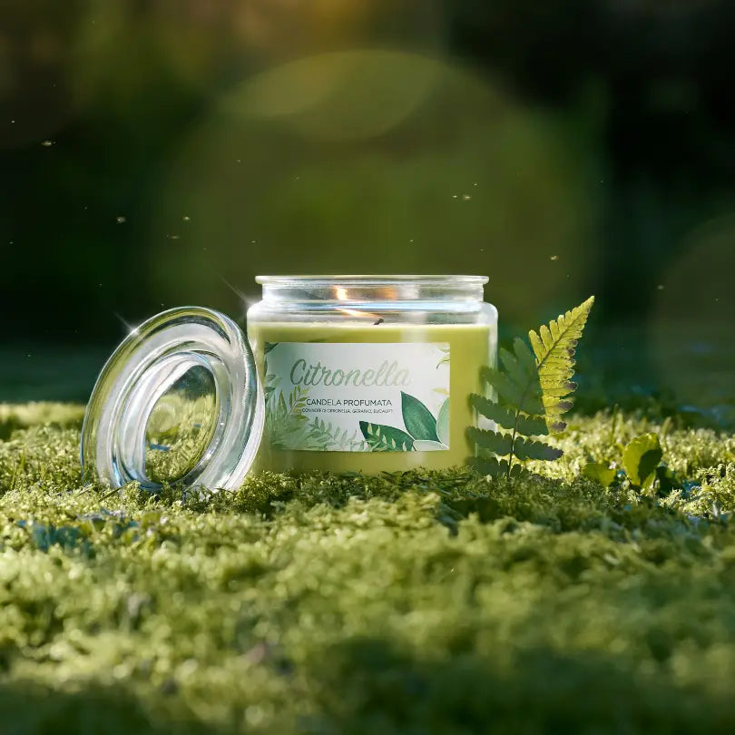Candela Citronella: l’alleata essenziale contro gli insetti nelle giornate estive