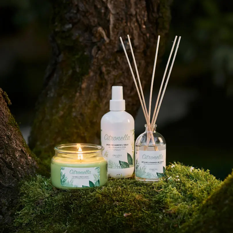 Perché la citronella allontana le zanzare | Oniusa Venezia