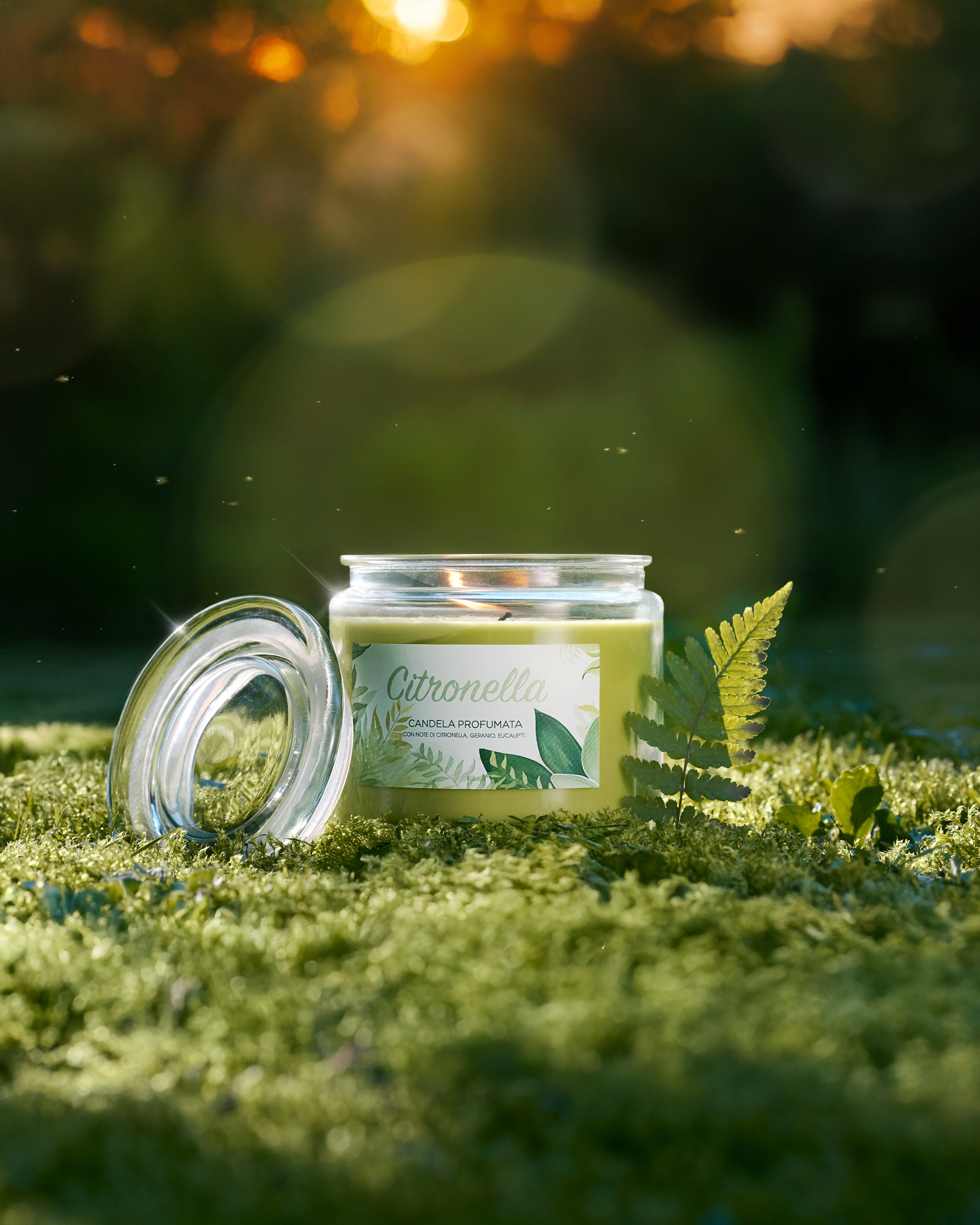 Kerze im Glas Citronella