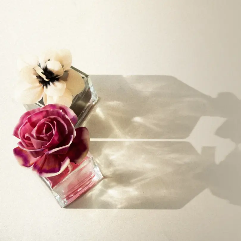 Home Fragrance: an Invisible Language That Tells Your Story