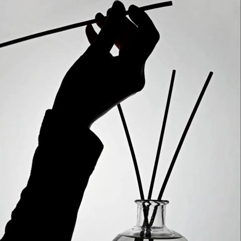 Olfactory Rituals: How Reed Diffuser Home Fragrances Transform Daily Life