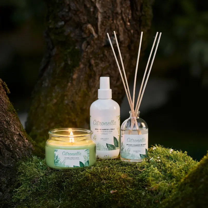 Why Citronella Repels Mosquitoes | Oniusa Venezia