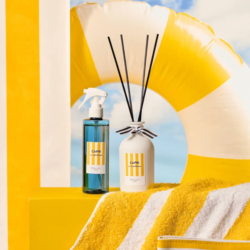 Home Diffusers and Olfactory Neuroscience: How Scents Influence Emotions and Memory